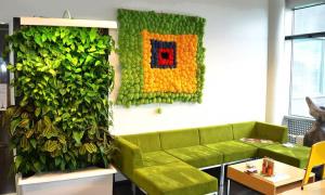Hello from the distant past - an original living wall How to make a wall from plants with your own hands