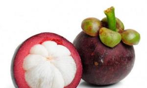 A complete list of delicious exotic fruits and berries with descriptions